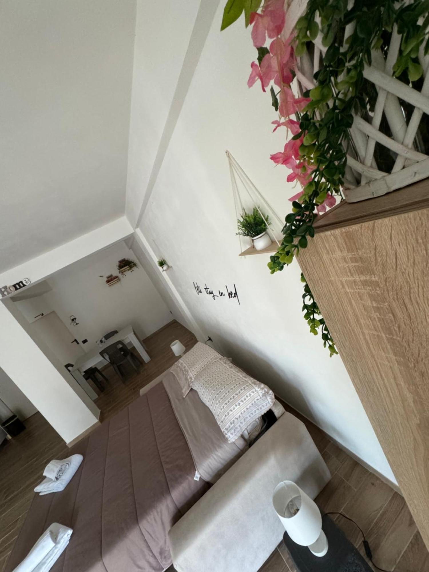 Mc Rooms Torretta  Extérieur photo